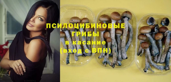 молекула духа Алексеевка