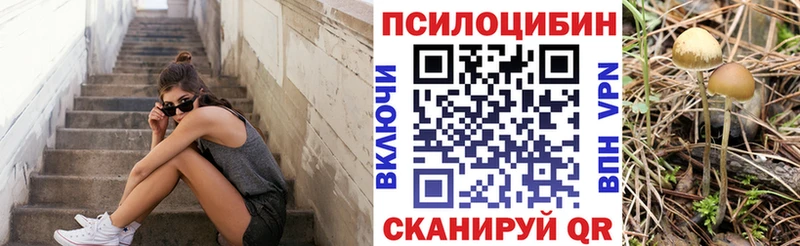 ОМГ ОМГ ТОР  даркнет состав  Галлюциногенные грибы ЛСД  Бакал 
